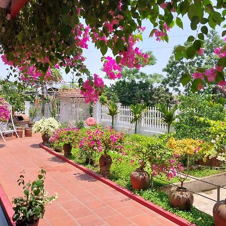 Nha Xanh Homestay Ninh Binh Dış mekan fotoğraf
