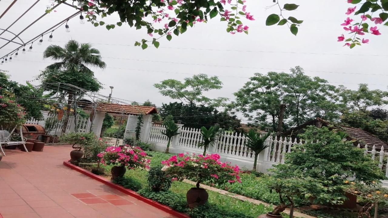 Nha Xanh Homestay Ninh Binh Dış mekan fotoğraf