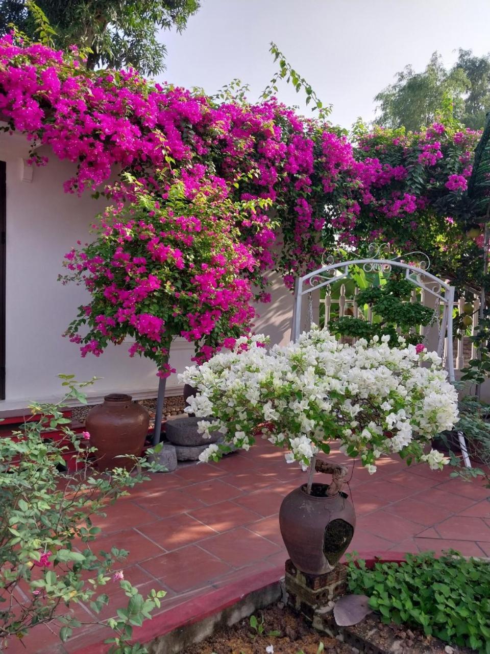 Nha Xanh Homestay Ninh Binh Dış mekan fotoğraf