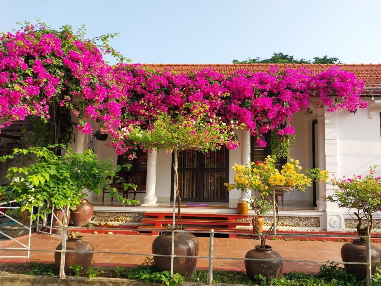 Nha Xanh Homestay Ninh Binh Dış mekan fotoğraf
