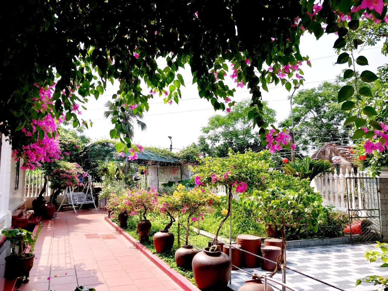 Nha Xanh Homestay Ninh Binh Dış mekan fotoğraf